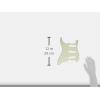 imageFender Standard Stratocaster for 3 Single Coil Pickups 11 Hole 3Ply  WhiteParchment