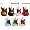 imageFender Standard Stratocaster for 3 Single Coil Pickups 11 Hole 3Ply  WhiteTortoise Shell