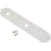 imageFender Telecaster Control PlatePlate