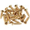 imageFender PickguardControl Plate Mounting Screws  Gold