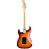 imageFender Player Stratocaster HSS Electric Guitar with 2Year Warranty Silver Maple FingerboardTobacco Sunburst